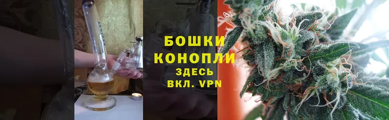 Марихуана THC 21%  Луга 